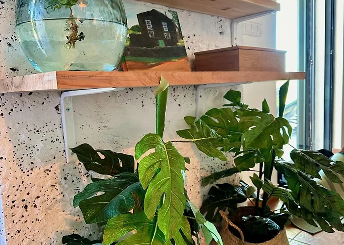 A Casa Do Jaime Hébergement de vacances