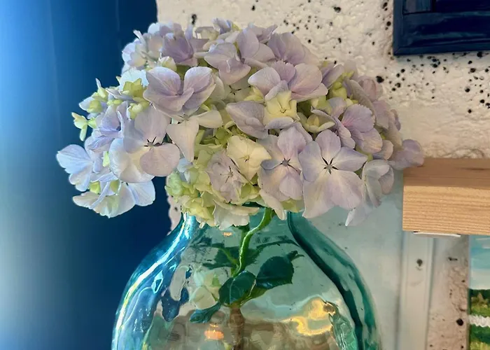 A Casa Do Jaime Prainha (Sao Roque do Pico)